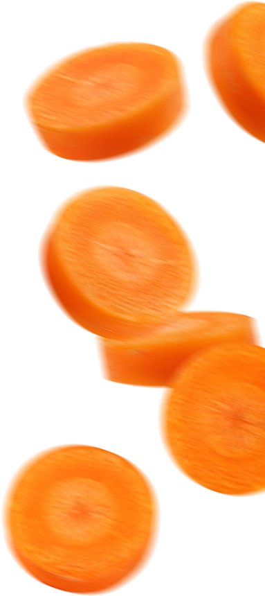 Sessao familia imagem de cenoura
